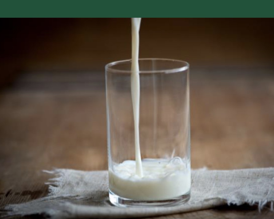 Jornada- Podem prescindir de la llet? Salut, dieta i valors entorn d’un aliment únic (dijous 15 de novembre, Barcelona)