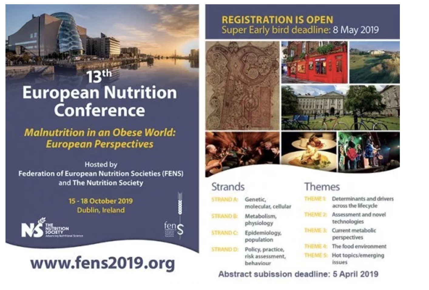 13ª Conferencia Europea de Nutrición (FENS 2019),15-28 octubre ,(Dublin)