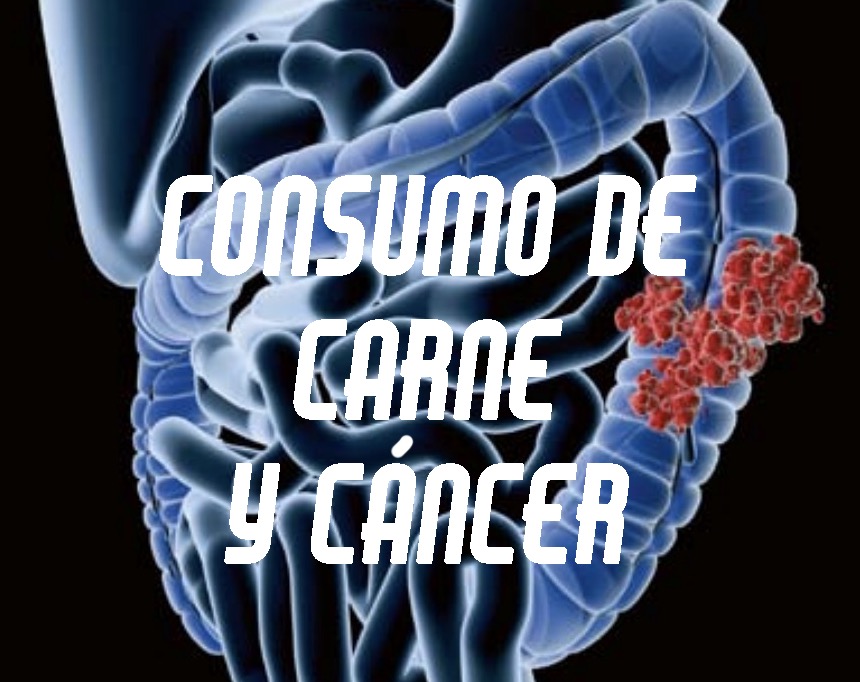 Consum de carn i càncer