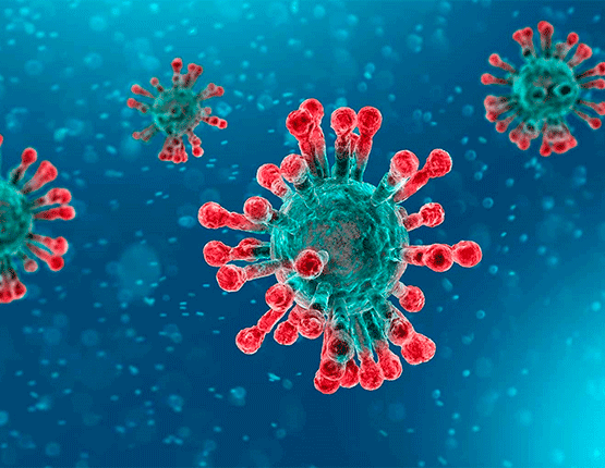 Coronavirus i Alimentació: No hi ha evidència que els aliments siguin una font de transmissió del COVID-19