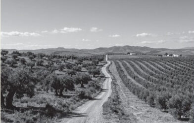 Presentació del llibre: “Dos agriculturas, las dos necesarias. La producción de alimentos ante el reto de la sostenibilidad global”