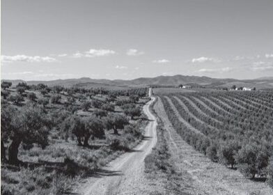 Presentació del llibre: “Dos agriculturas, las dos necesarias. La producción de alimentos ante el reto de la sostenibilidad global”